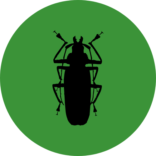 Schabenbefall bekämpfen